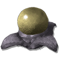 Lymantria Egg